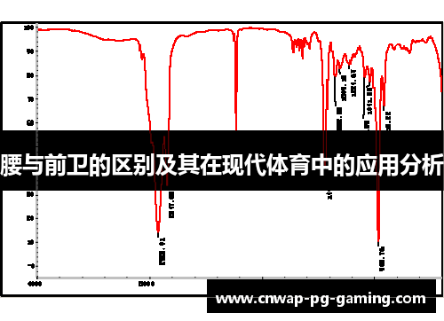 腰与前卫的区别及其在现代体育中的应用分析 腰与前卫的区别及其在现代体育中的应用分析