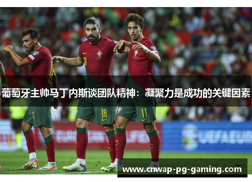 葡萄牙主帅马丁内斯谈团队精神：凝聚力是成功的关键因素