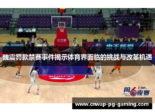 魏震罚款禁赛事件揭示体育界面临的挑战与改革机遇